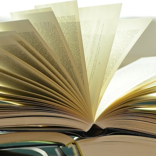 Democracies depend on reading | Eurozine